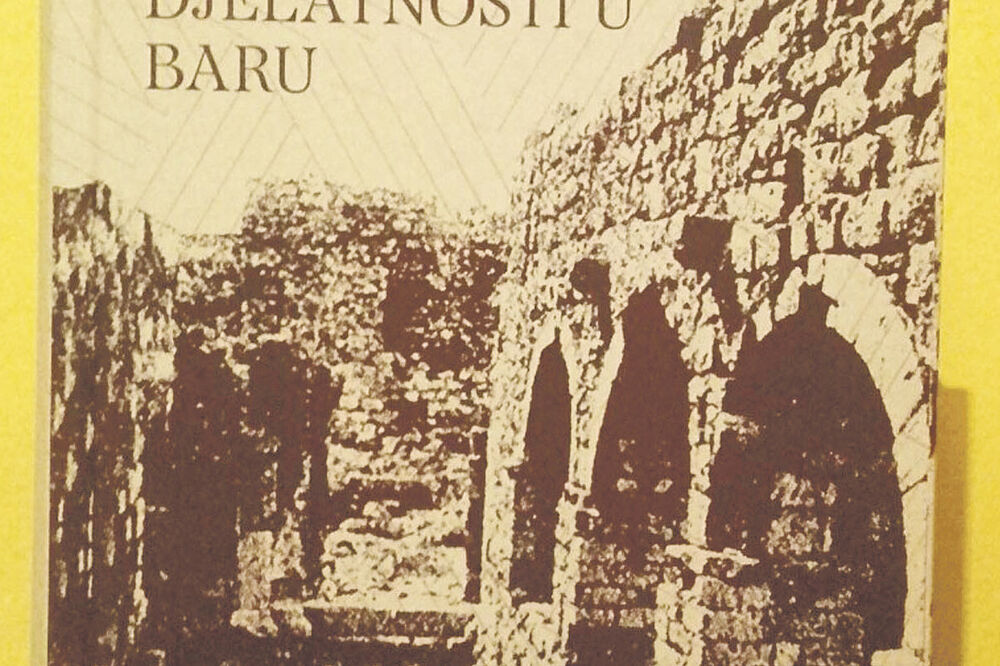 Pregled zdravstvene djelatnosti u Baru