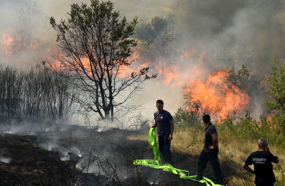 Dajbabska gora požar