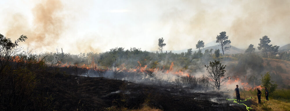 Dajbabska gora požar