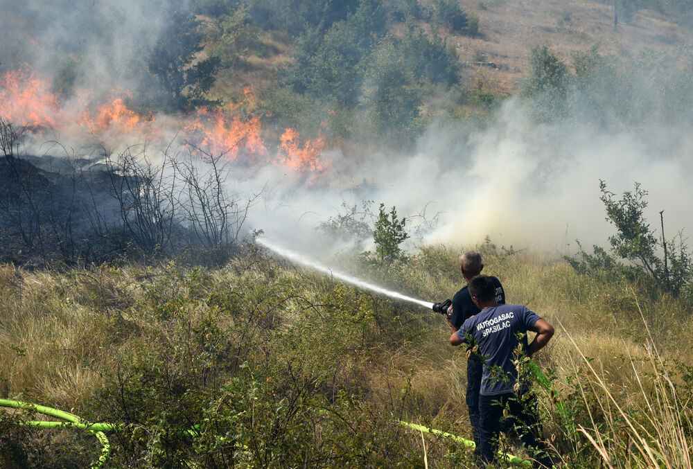 Dajbabska gora požar