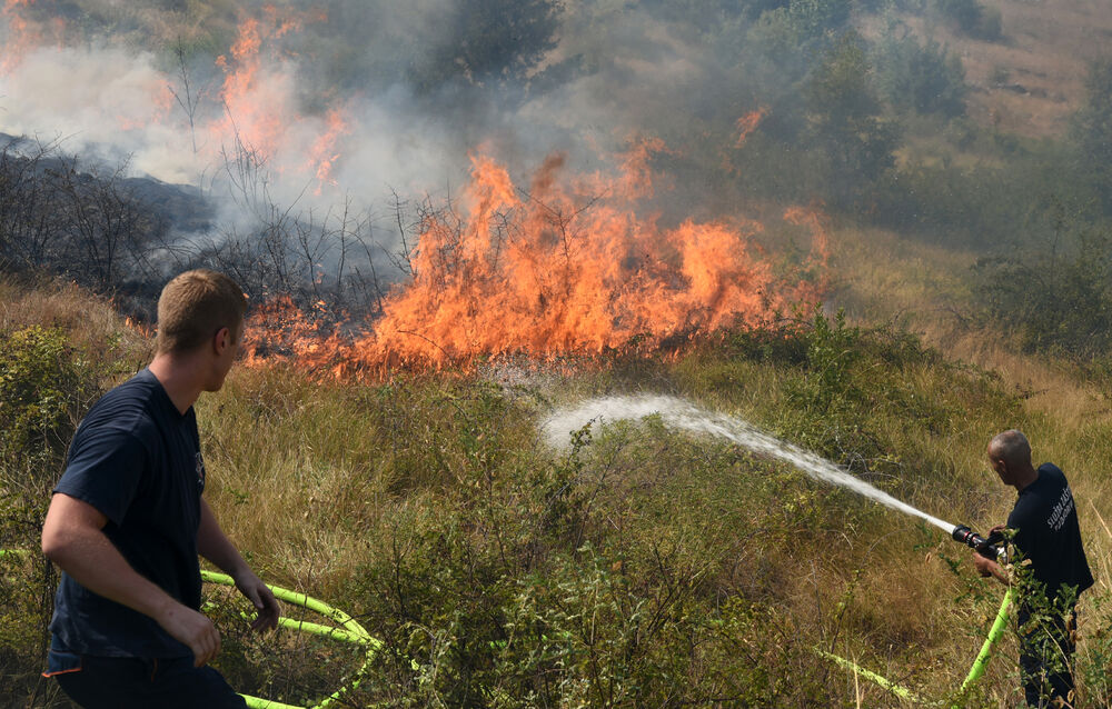 Dajbabska gora požar