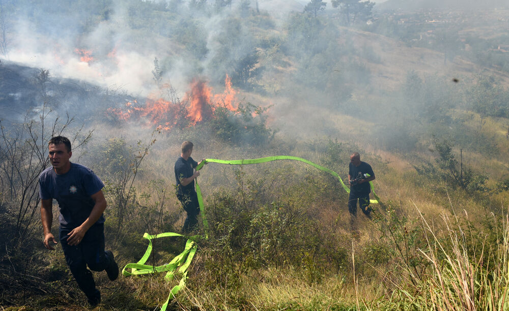 Dajbabska gora požar