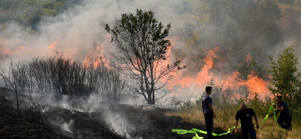 Dajbabska gora požar
