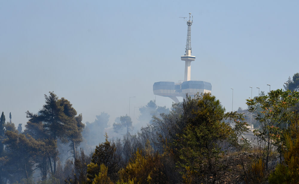 Dajbabska gora požar