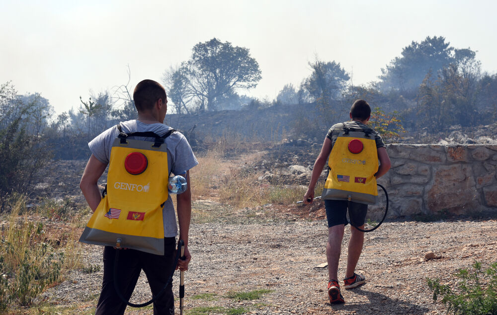 Dajbabska gora požar