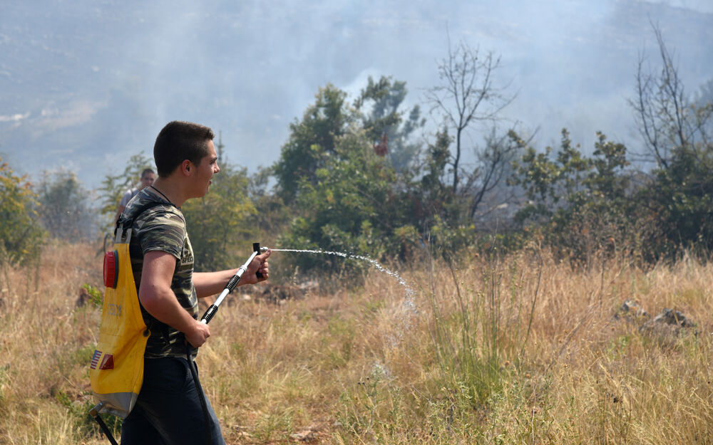 Dajbabska gora požar