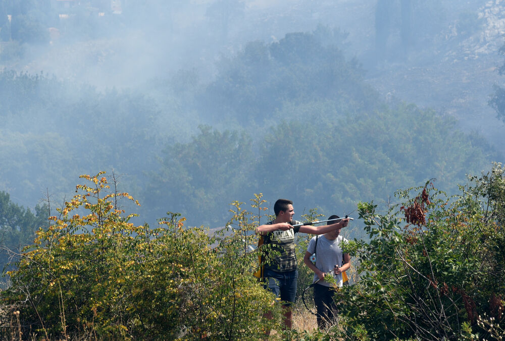 Dajbabska gora požar