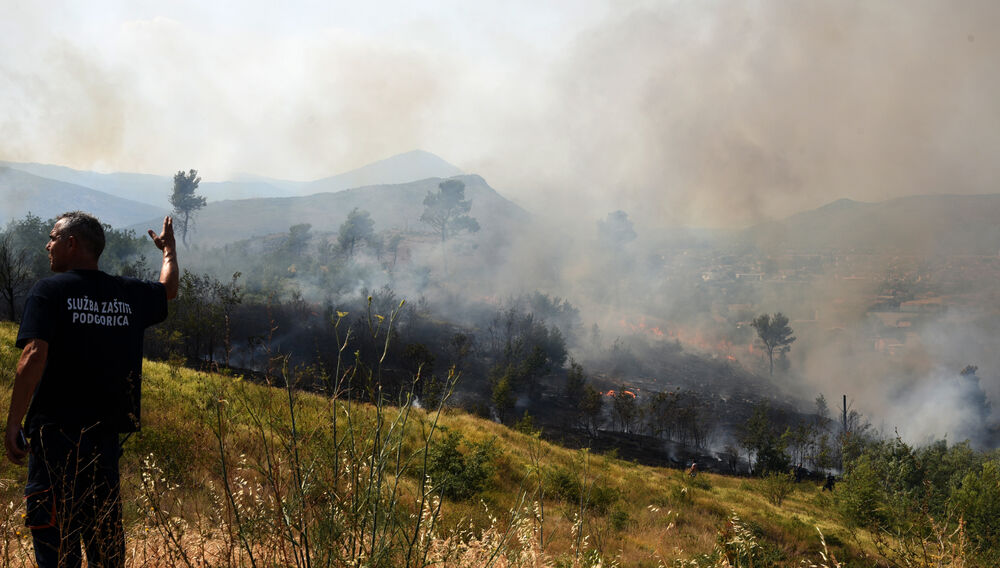 Dajbabska gora požar