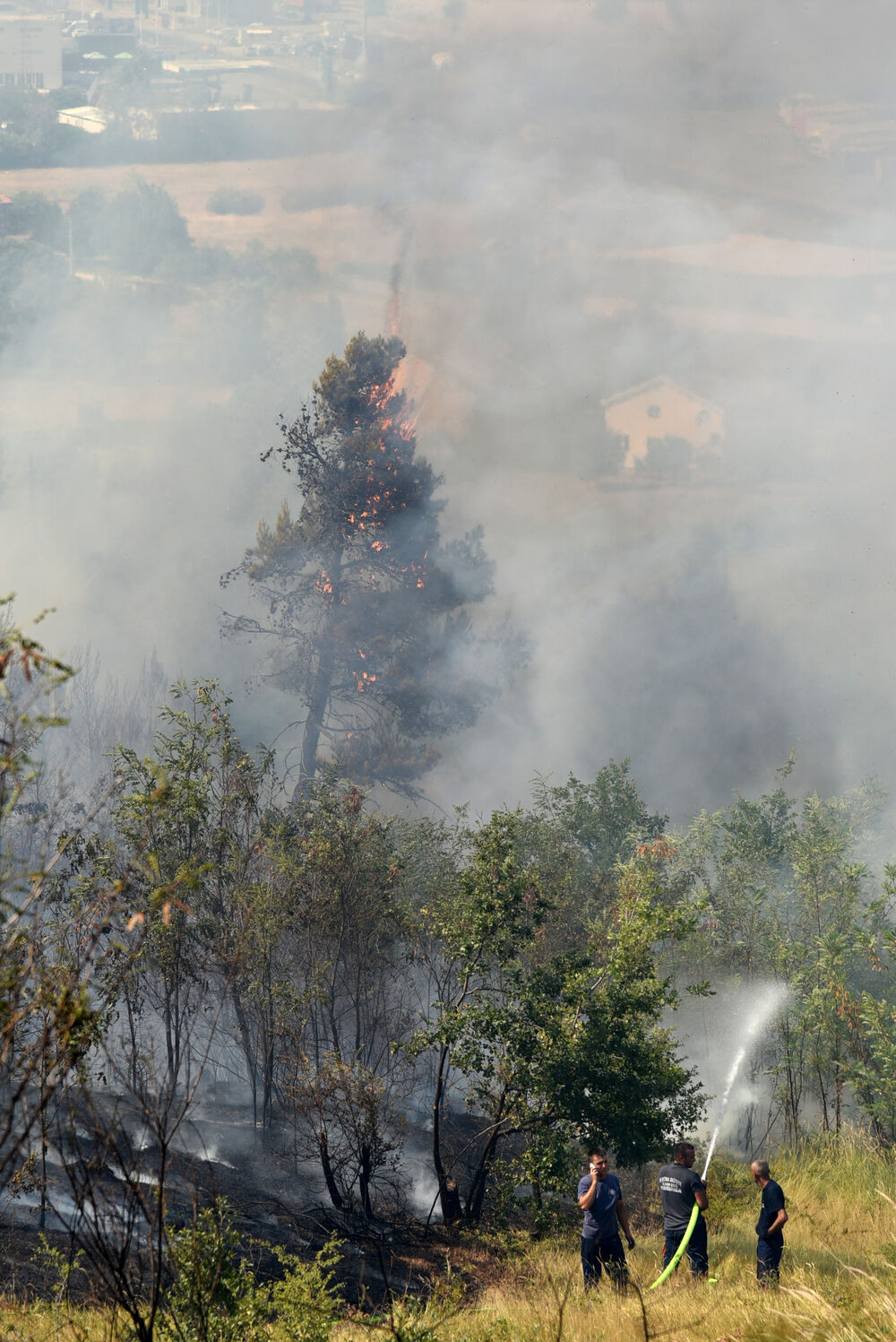 Dajbabska gora požar