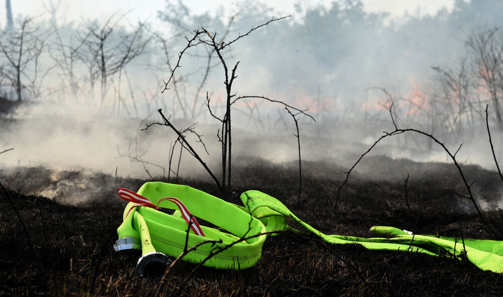 Dajbabska gora požar