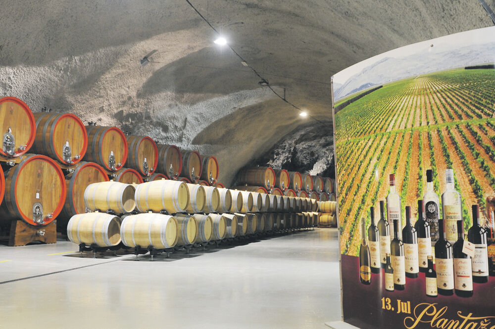 Plantaže, Šipčanik, Foto: Savo Prelević