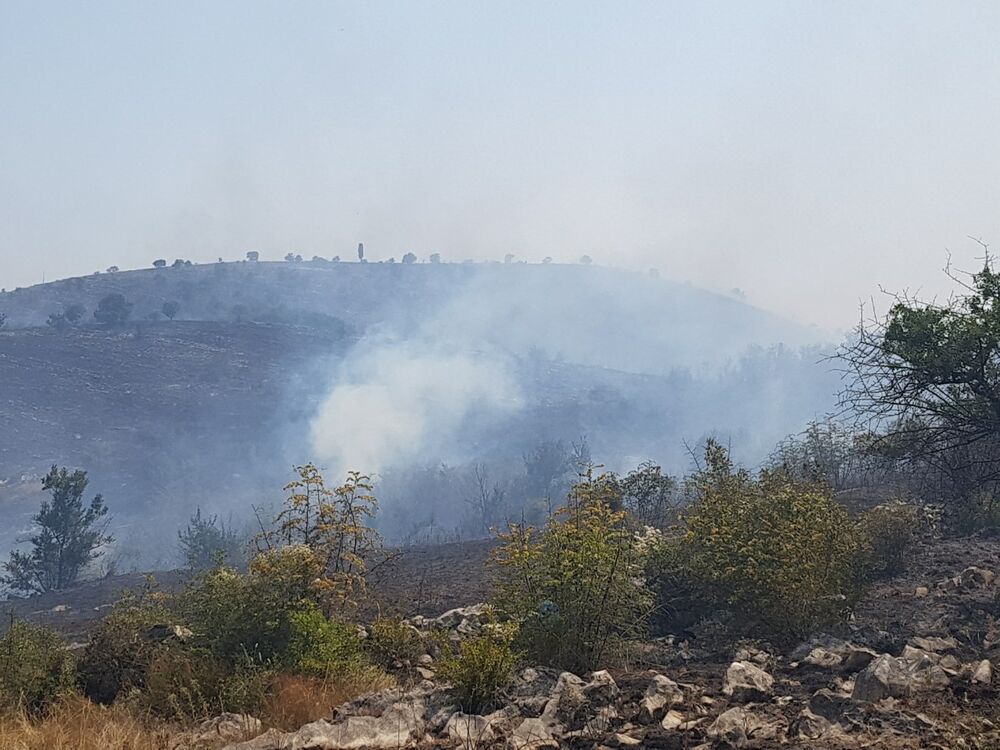 požar, Dajbabska gora