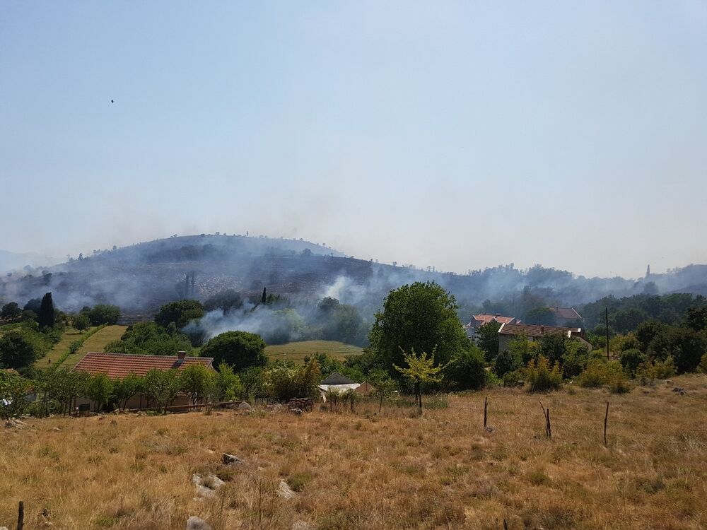 požar, Dajbabska gora