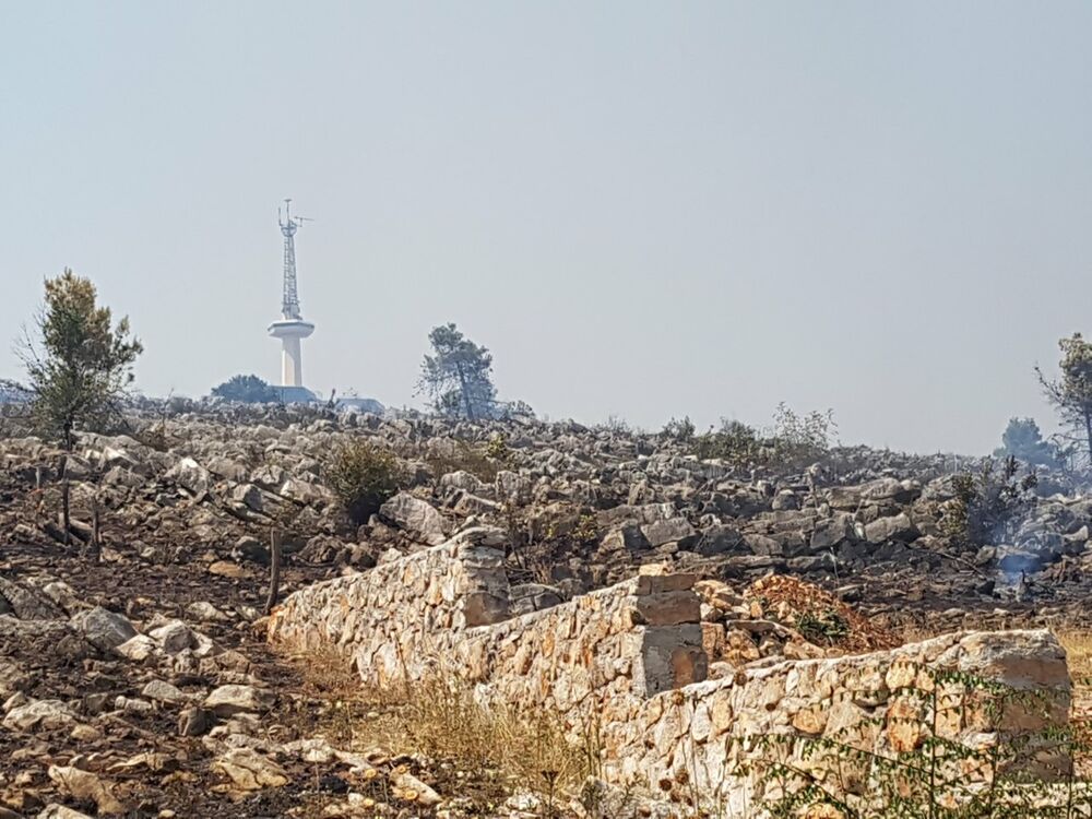 požar, Dajbabska gora