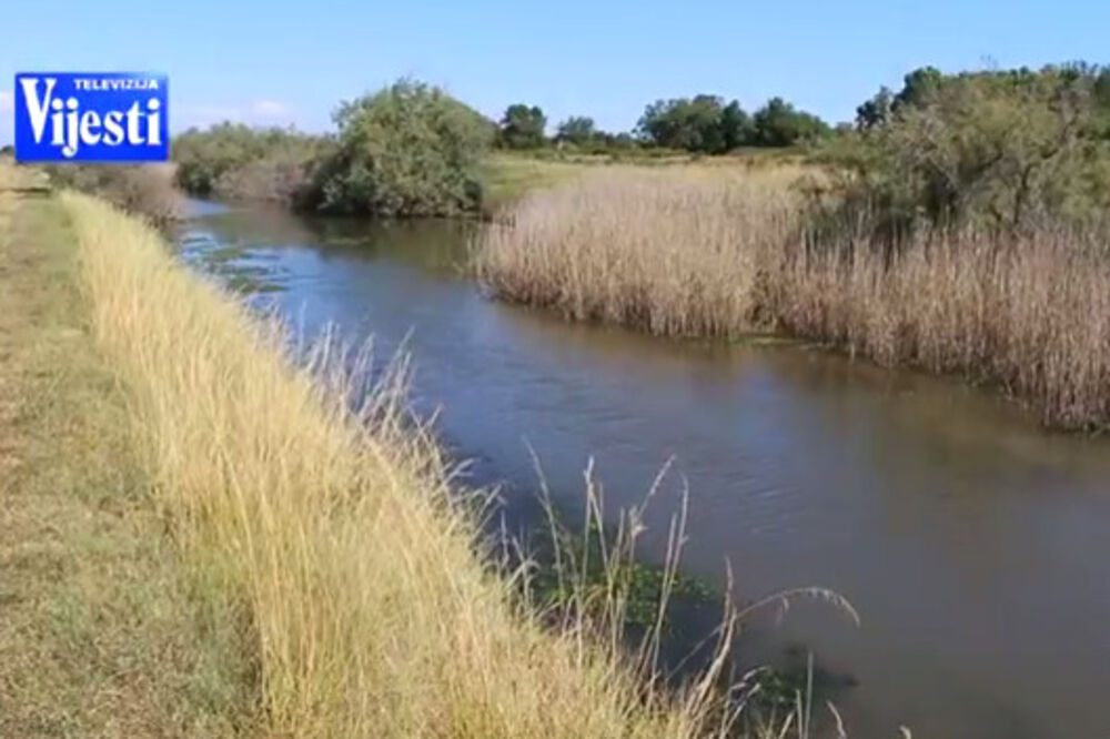 Solana, Foto: Printscreen (YouTube)