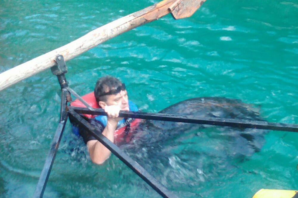 Čišćenje rijeke Tare, Foto: Obrad Pješivac