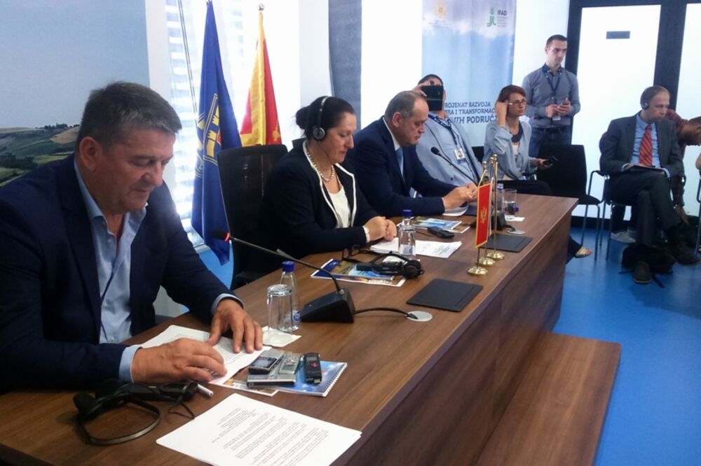 Nikšić klaster, Foto: Svetlana Mandić