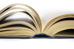 Nagrada "Teuta" uručena Mojkomu Zeću