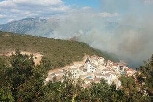 Požar u Tivtu stavljen pod kontrolu: Do kraja dana bi mogao biti...