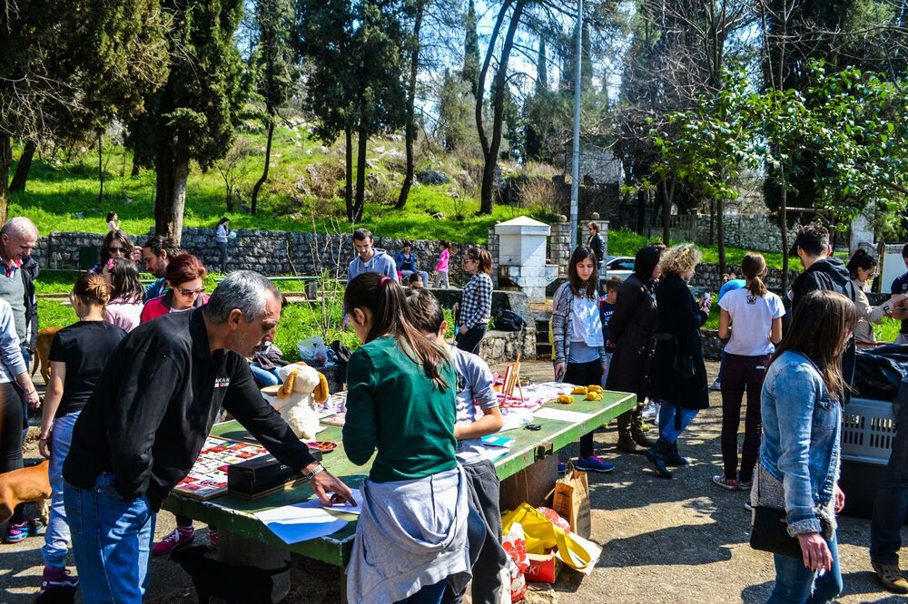 NVO sPas, udomljavanje pasa, Foto: NVO sPas