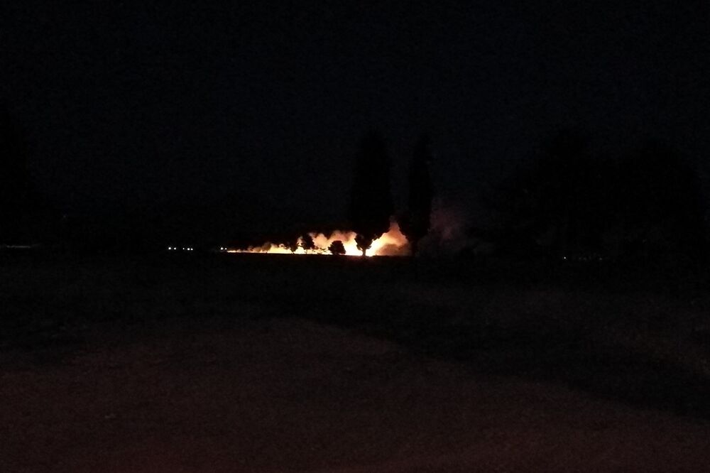 Požar Ćemovsko, Foto: Tina Popović