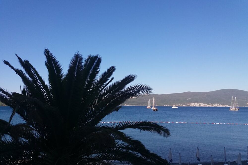Tivat Boje jutra, Foto: Bojana Bojović Golijanin