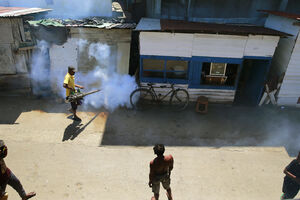 Šri Lanku pogodila epidemija denga groznice, 225 mrtvih