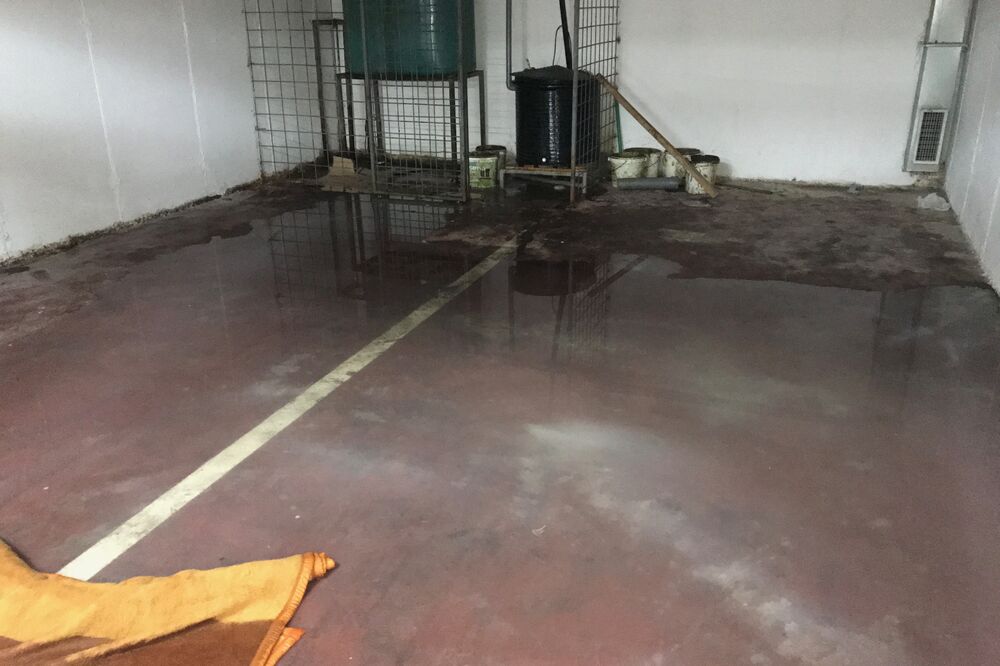 Idea, ulje, Blok 6, Foto: Privatna arhiva