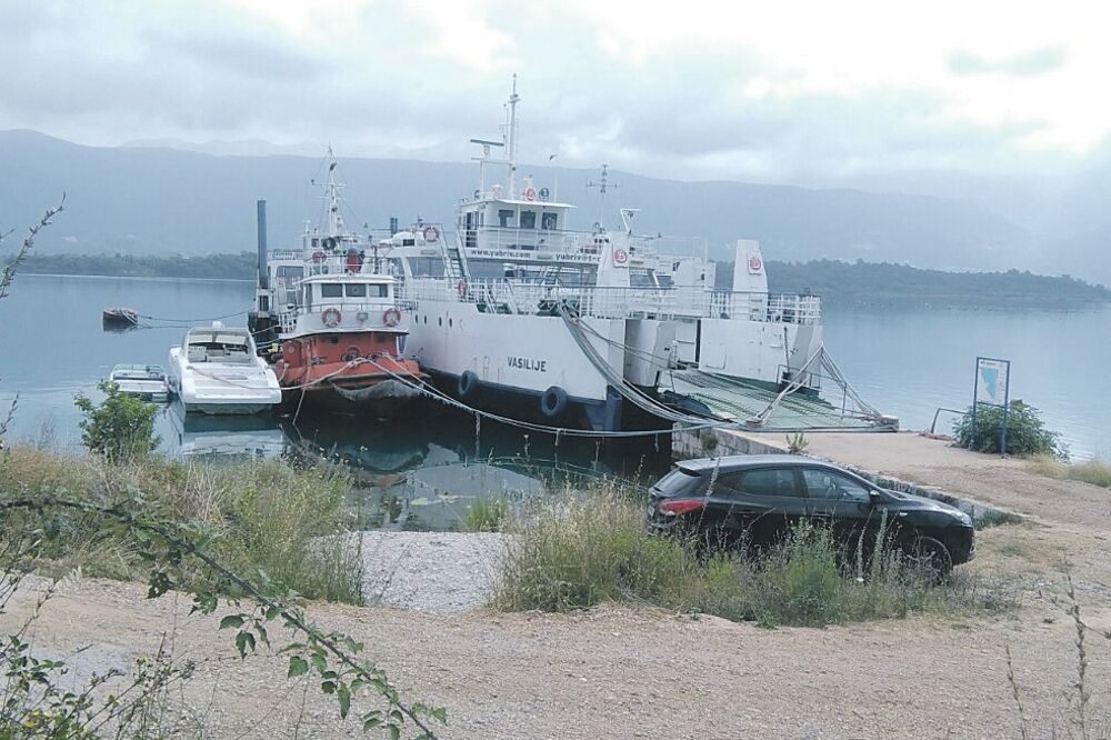 Mulo Bezdanj, Foto: MZ Krtoli