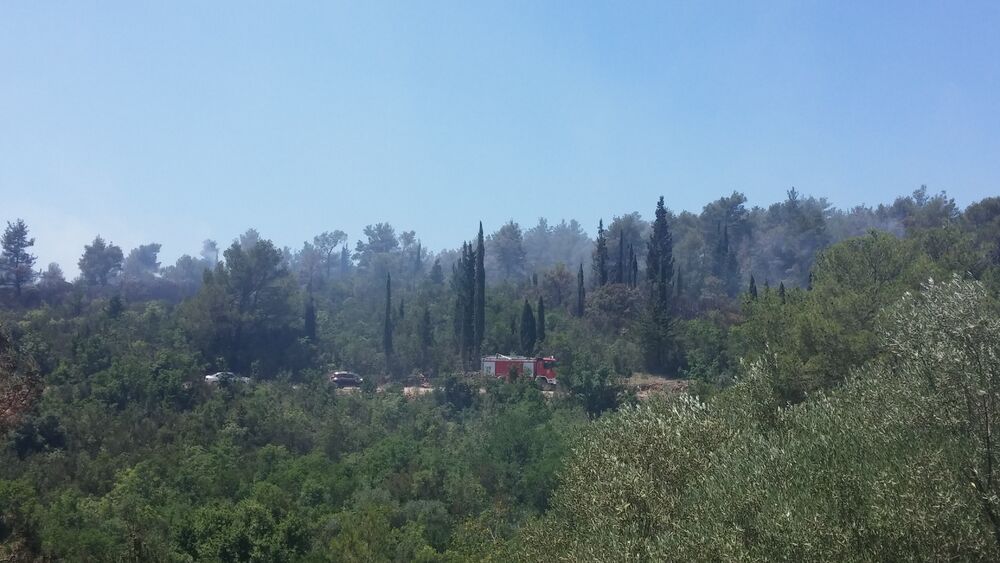 Požar Plavi horizonti