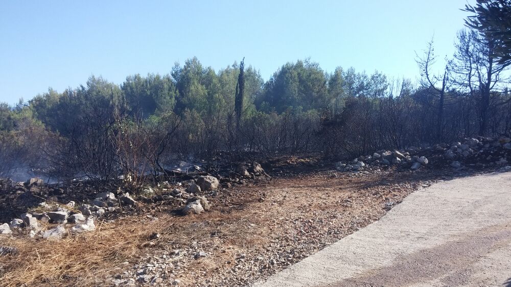 Požar Plavi horizonti