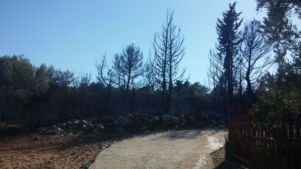 Požar Plavi horizonti