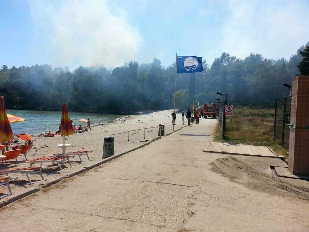 Požar Plavi horizont