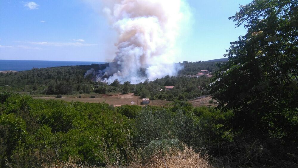 Plavi horizonti požar