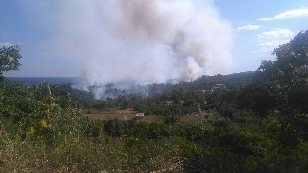 Plavi horizonti požar