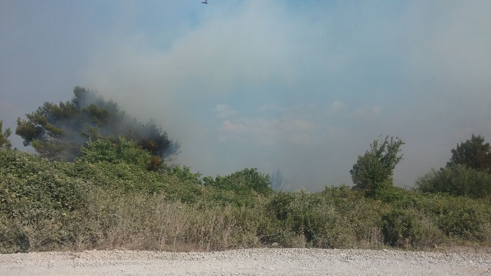 Plavi horizonti požar