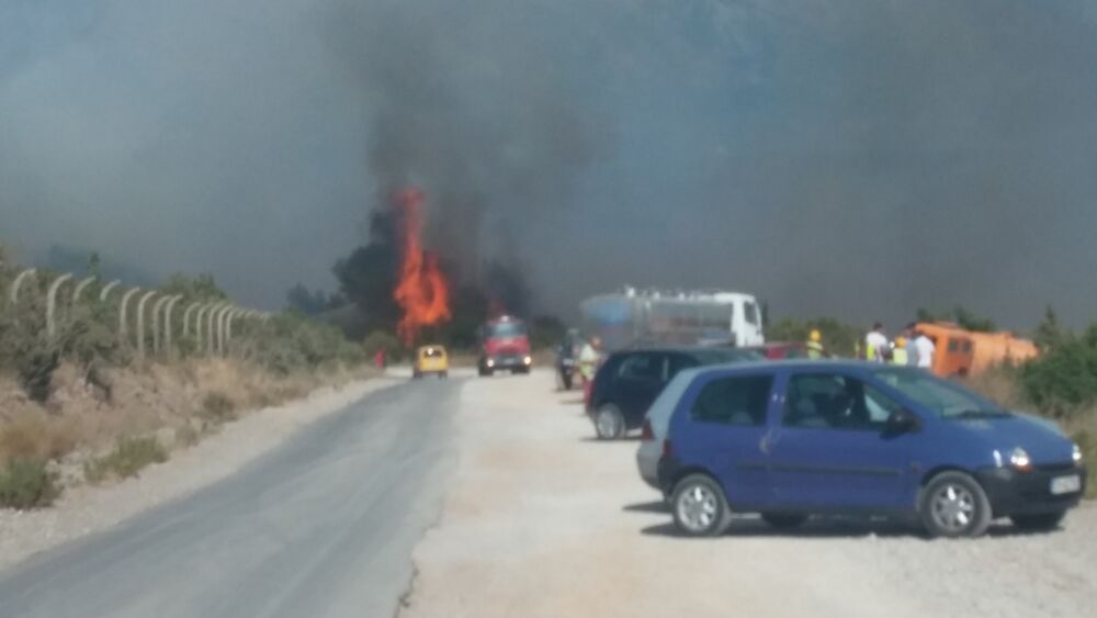 Plavi horizonti požar