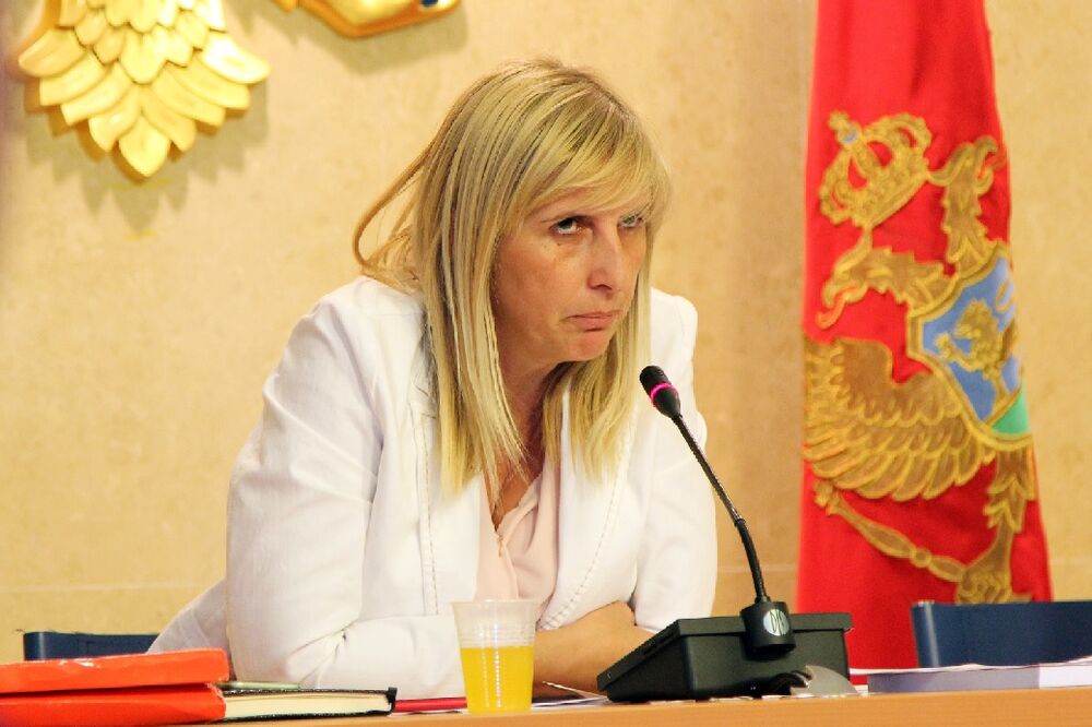 Snežana Jonica, Foto: Filip Roganović