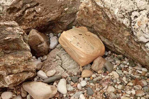 Paketići sa marihuanom isplivali na obale u Novom