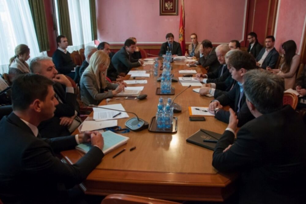 odbor za međunarodne odnose, Foto: Skupština Crne Gore