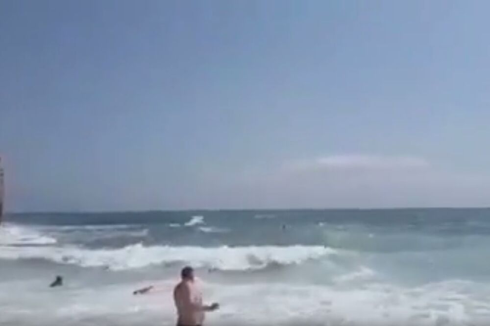 Ričardova glava, Foto: Screenshot (YouTube)