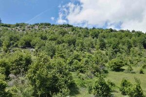 Sunčano, temperatura do 38 stepeni