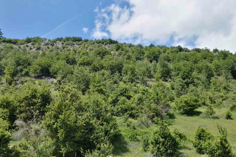 vremenska prognoza, priroda, Piva, Foto: Dušan Cicmil