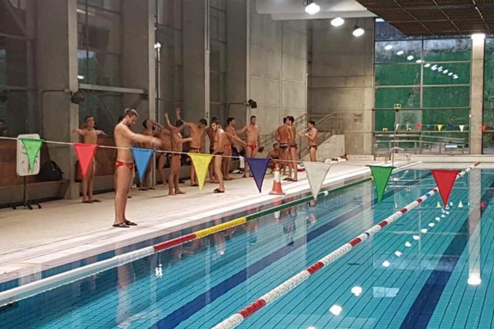 Vaterpolisti Crne Gore u Madridu, Foto: Wpolo.me