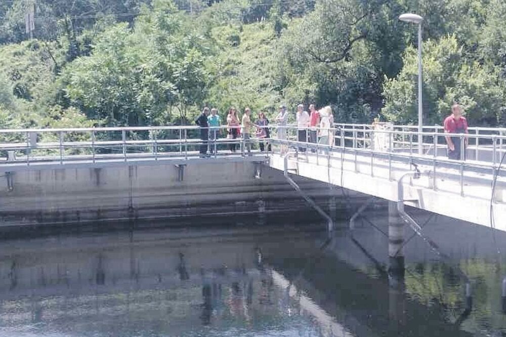 kolektor Herceg Novi, Foto: Slavica Kosić