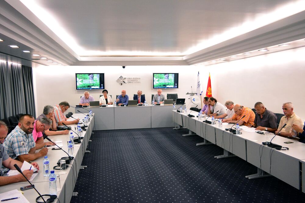 PKCG, Privredna komora, Foto: Privredna komora Crne Gore