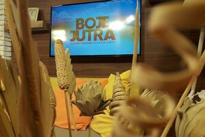 Boje jutra: Prva SOS linija za roditelje, kako kreirati posao za...