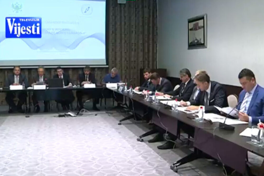 Igmanska inicijativa, Foto: Printscreen