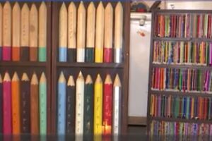 VIDEO PRIČA Kad od olovki nastane umjetničko djelo