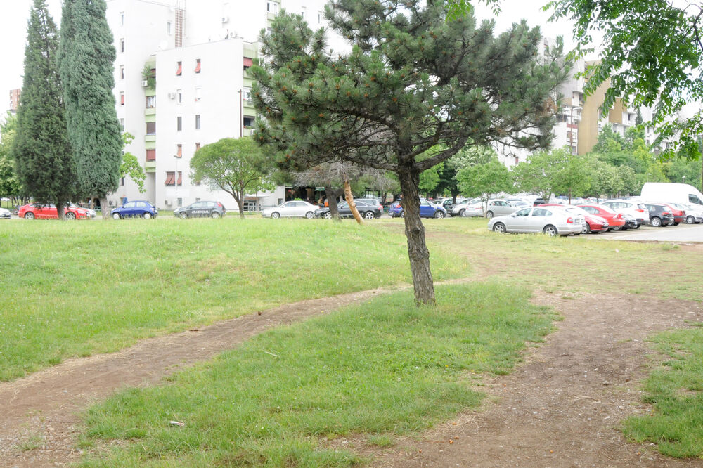 Blok 5, Foto: Zoran Đurić